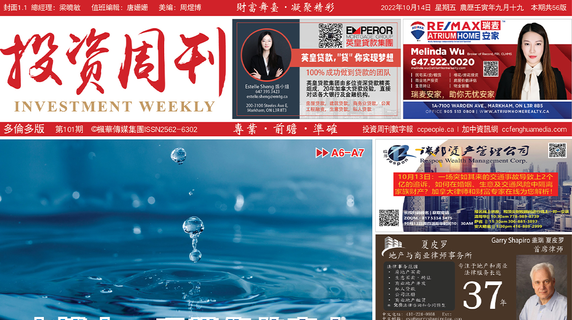 <strong>Ͷܿ101</strong>