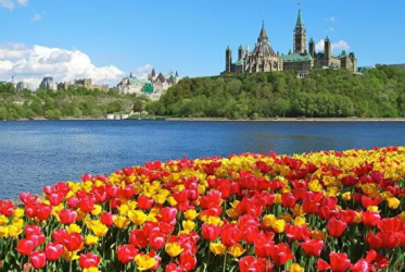 <b>���ô����Ʒ���������������</b>