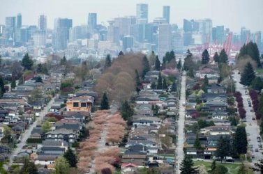 <b>���µ���2020��Ԫ�µز�����</b>