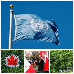 Ϲ׼ȫҽôϷ-ܻҩҵչͼ