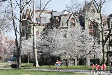 �＾��ѧ�ڼ�, �й���ѧ����׼��������