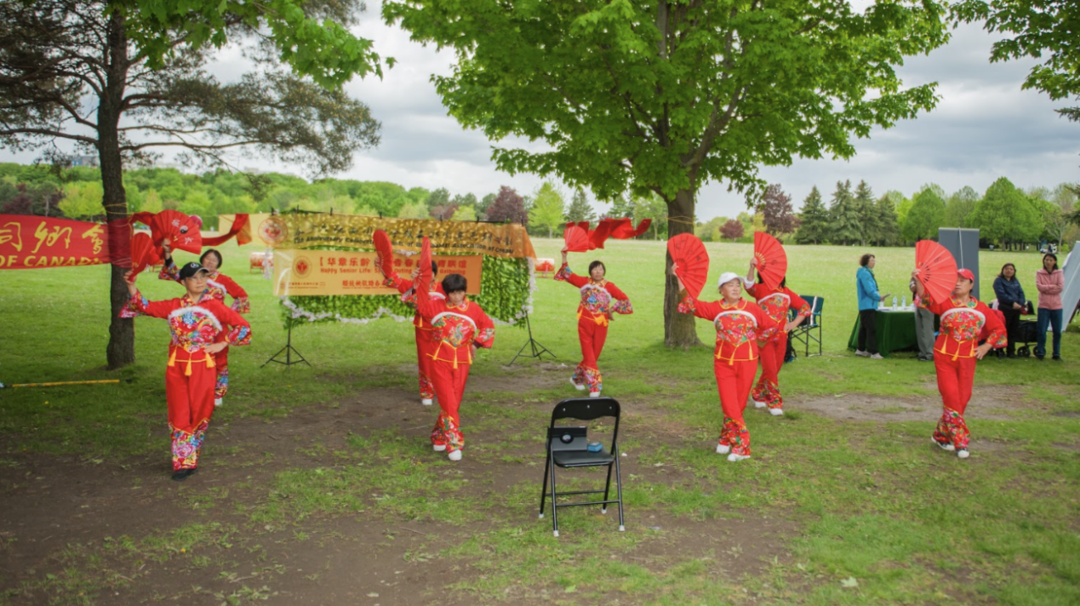 һȺСڲݵAI ɵݿܲȷ