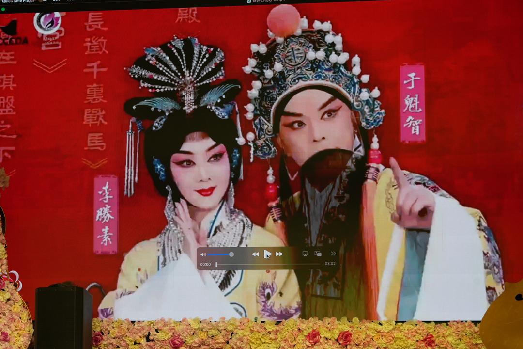 �й����Ҿ���Ժ2026������ӭ������԰�顱����Ϸ������ ��������