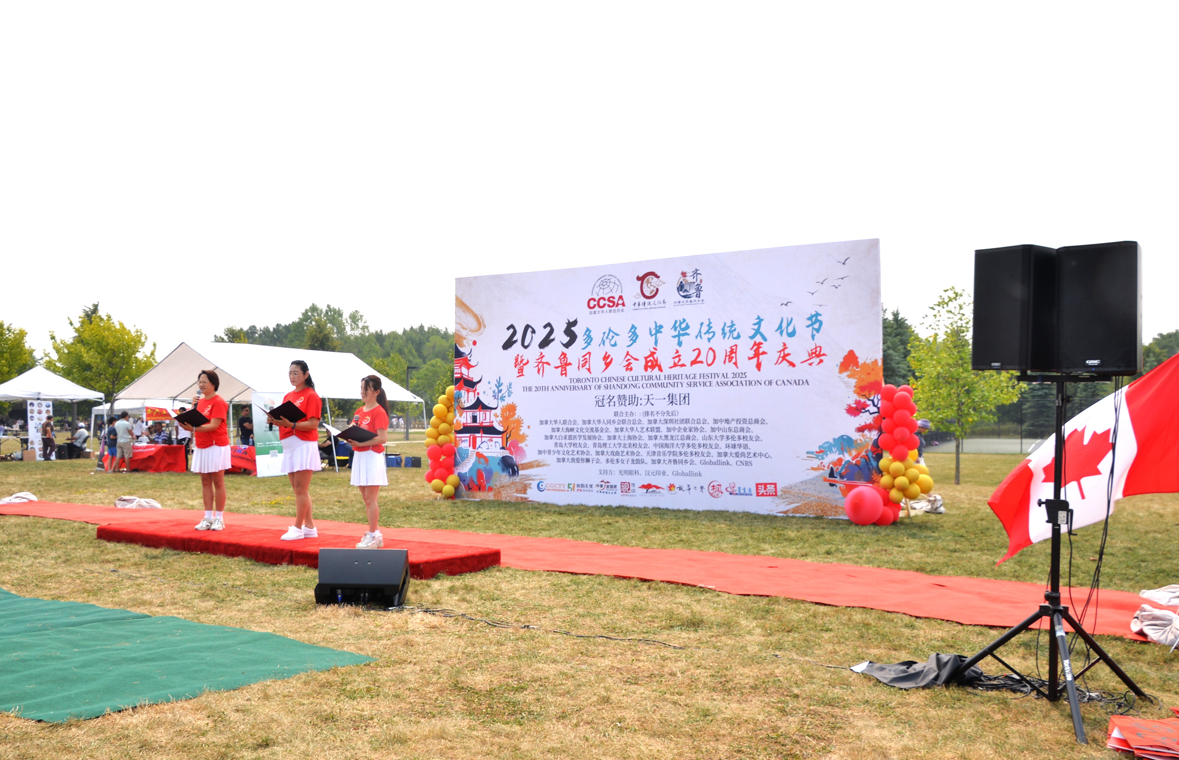 2025׶・лͳĻ߼ô³ͬʮ