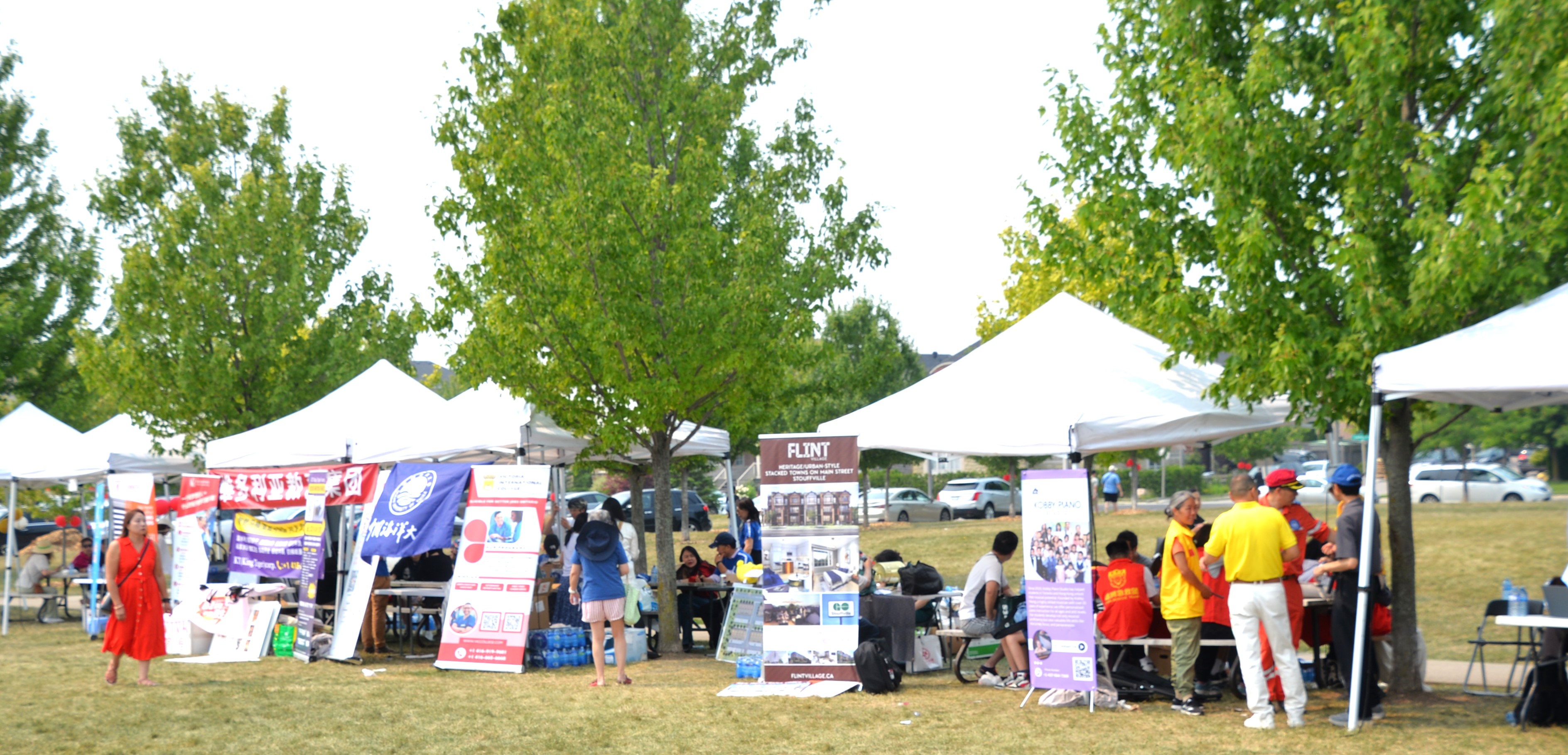 2025׶・лͳĻ߼ô³ͬʮ