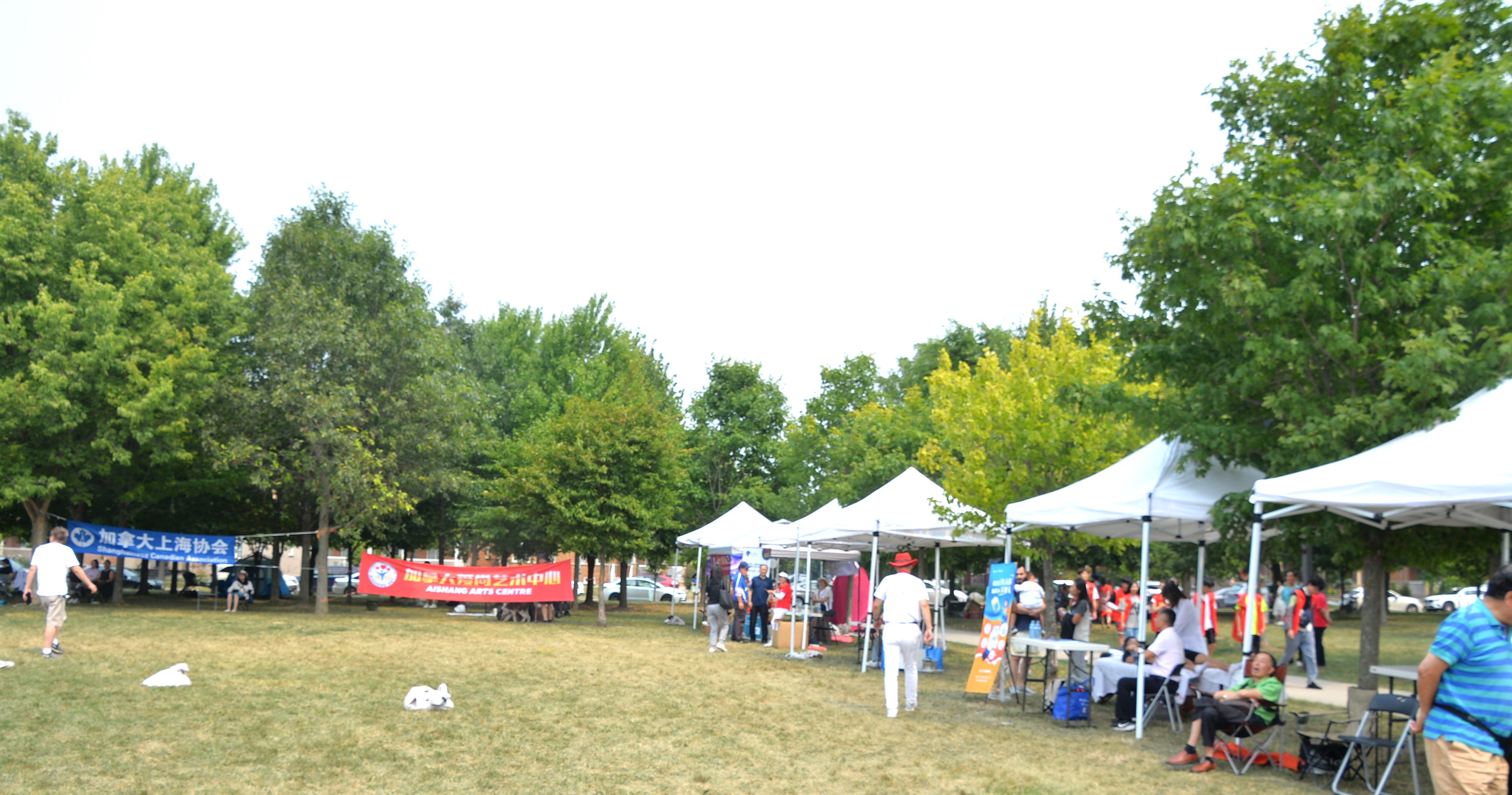 2025׶・лͳĻ߼ô³ͬʮ