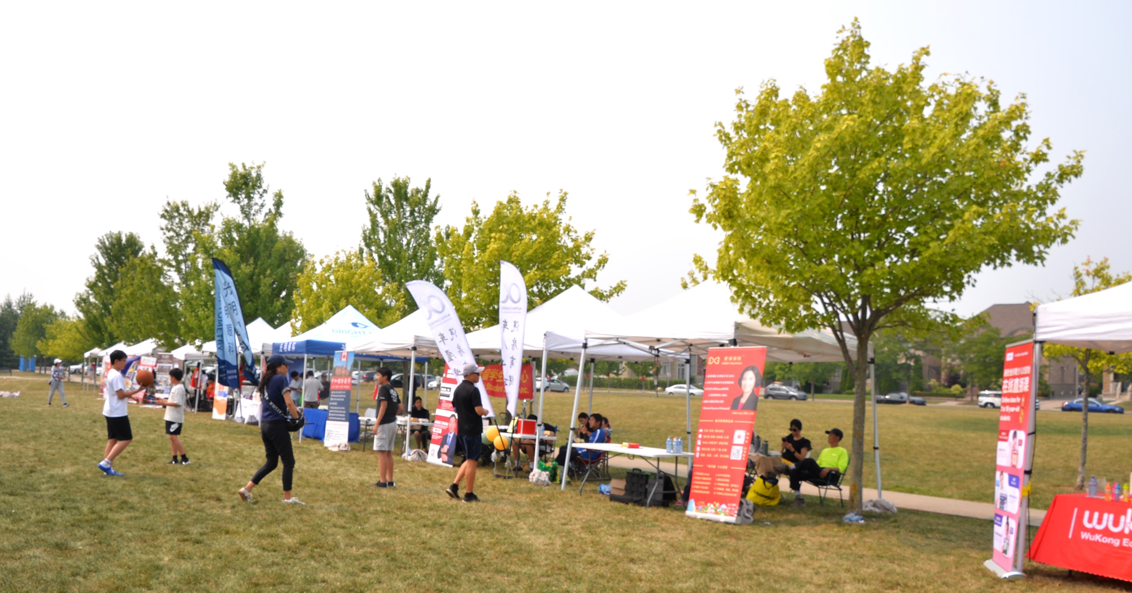 2025׶・лͳĻ߼ô³ͬʮ