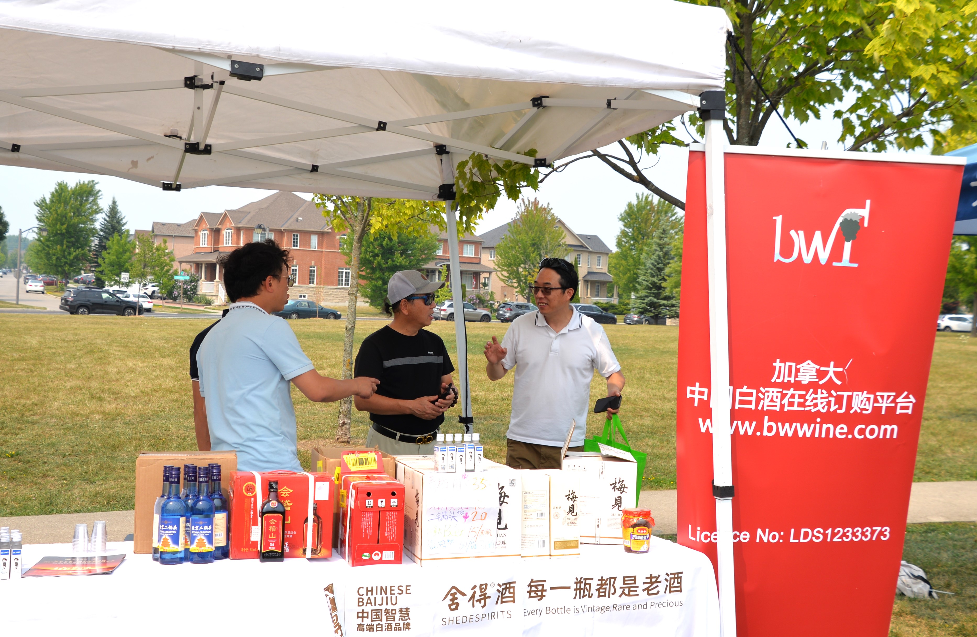 2025׶・лͳĻ߼ô³ͬʮ