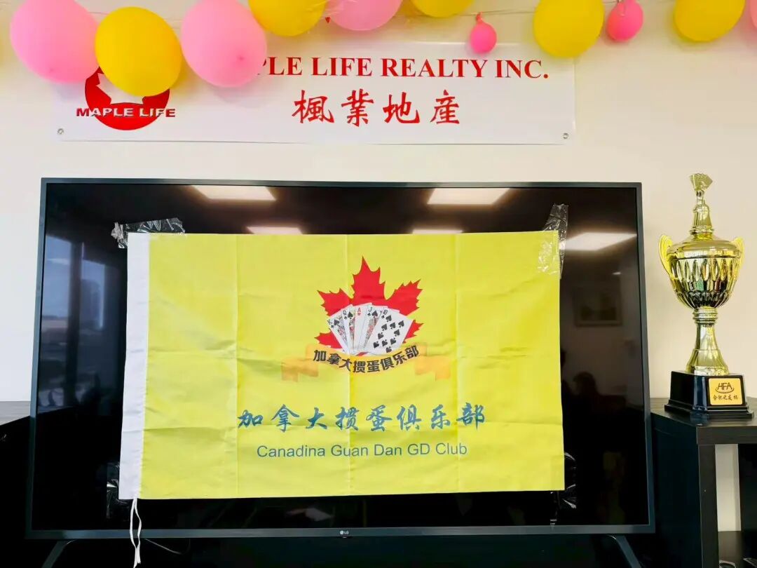 ���ű� �� �ڰ˽������������ɹ��ٰ�