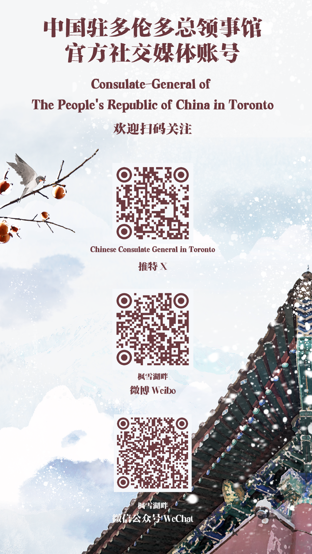 �й�פ���׶�����ݾٰ조������������ ���������й�����������