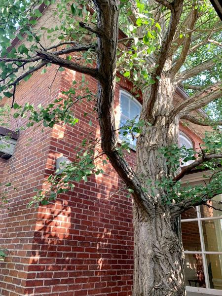柏丽古堡度假村 拥得天独厚胜景 揽非凡英伦风情
