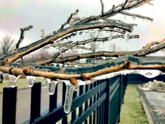 �ӻ����������������������1��11�գ���ѩ��Ϯ��