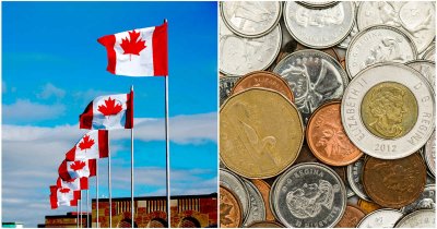 ������������ϯ���÷���ʦ�ֹ�Ԥ��2020�ӹ�����