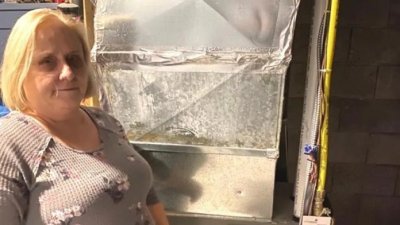 ���׶�Ů���������ů����ͬ ȴ����֪�踶3��Ԫ