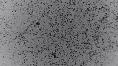 Ϊ�����з���ƽ��·����ʵ�����״����й�֮��ɹ����ƹ�״����