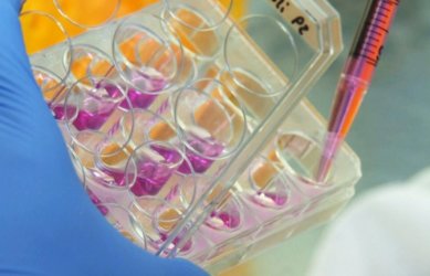 ϲѶ����ʡ3���¹ڲ���ȫ��������