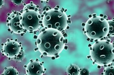 ������鱬�����룬����Ҫ����Щ׼����