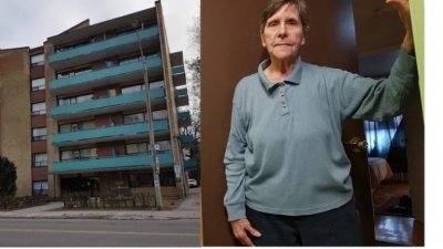 �߲㹫Ԣ���ݹ��ϣ�����������ͽ���κΣ�