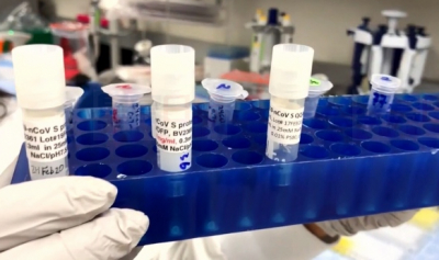 �¹ڲ�����⡰��װ�����ҡ����ڶ��׶��ѧ�з���