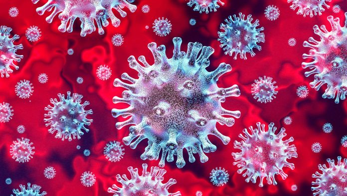 coronavirus (1)