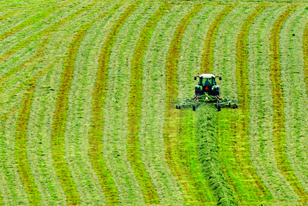 COVID-19: Help for agriculture industry as Farm Credit Canada ...