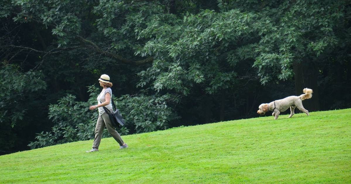 Events in toronto: Golf courses and off-leash dog parks expected ...