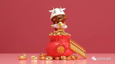 ���´��������ƣ�ţ�˺�ͨ������������Zoom 2��10��ר�����Ͻ���