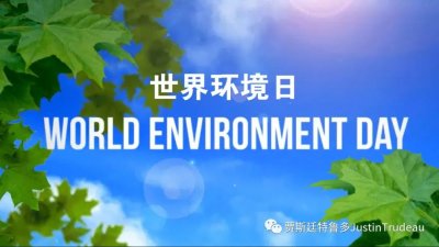 世界环境日:环境有多健康,我们才能有多健康