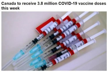 加国本周收到疫苗380万!加拿大联邦卫