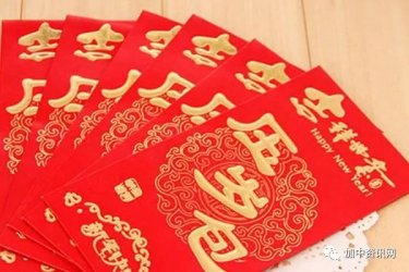 <b>怎样用压岁钱给孩子买保险?-保险产品说明会深度解析儿童分红保</b>