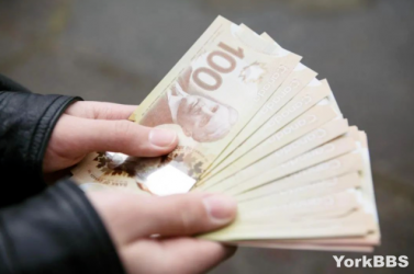 ���׶���������Ƹ����н�ߴ�12w��