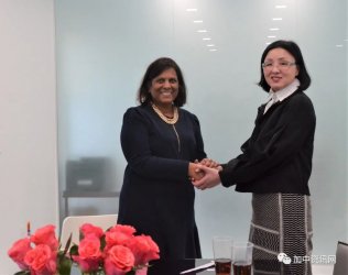 ʦӵһ֧GTA Ⱥ巨רҵŶ