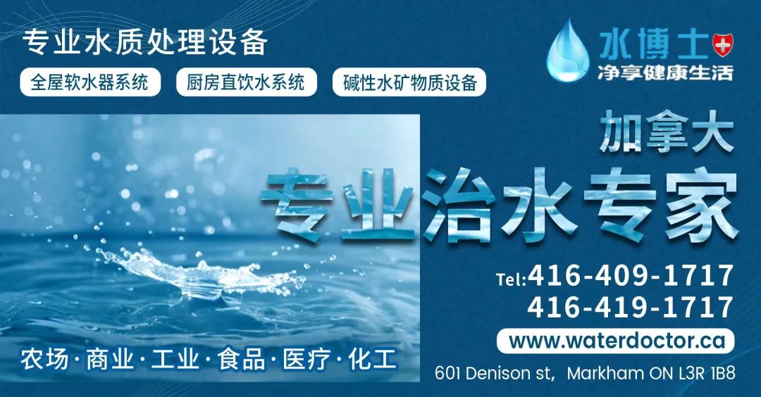 众人同心 其利断金——专访新趋势多伦多地产Nelson团队