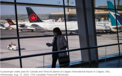 ȡ�������˿��¹�9��8������Ч����Ȩ�߳ƴ�Ϊ�˺��˿�ƭ��