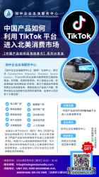 йƷTikTok ƽ̨뱱г