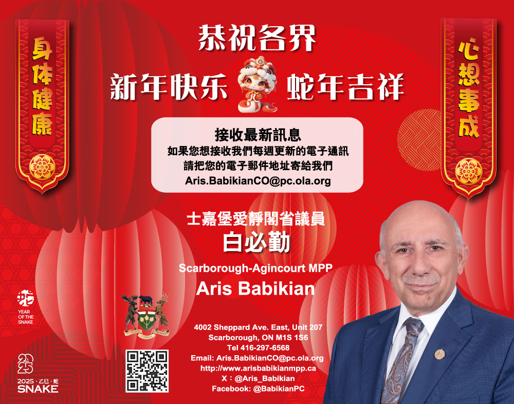 2025年《金蛇閃耀旺華埠》農曆新年两天慶祝活動