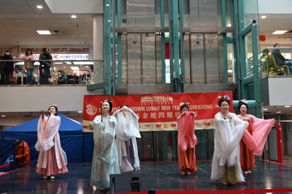 2025 年“金蛇閃耀旺華埠”農曆新年活動精彩纷呈