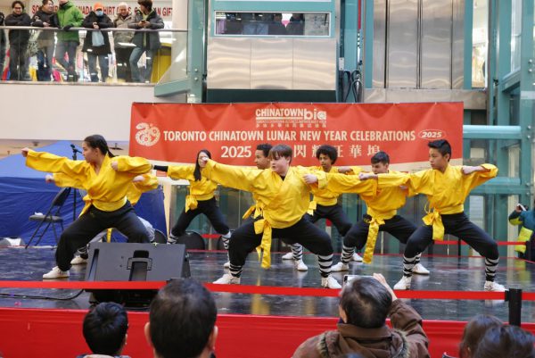 2025 年“金蛇閃耀旺華埠”農曆新年活動精彩纷呈