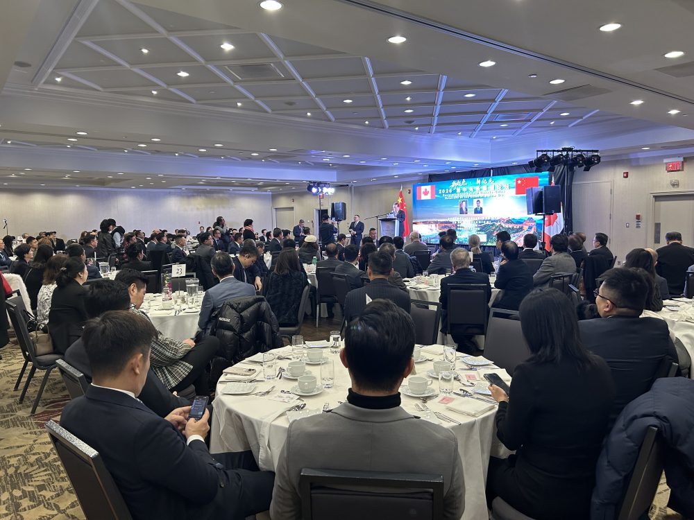 �����ʹ���������Ϣ��������2026���й�ϵչ����̳�ڶ��׶����