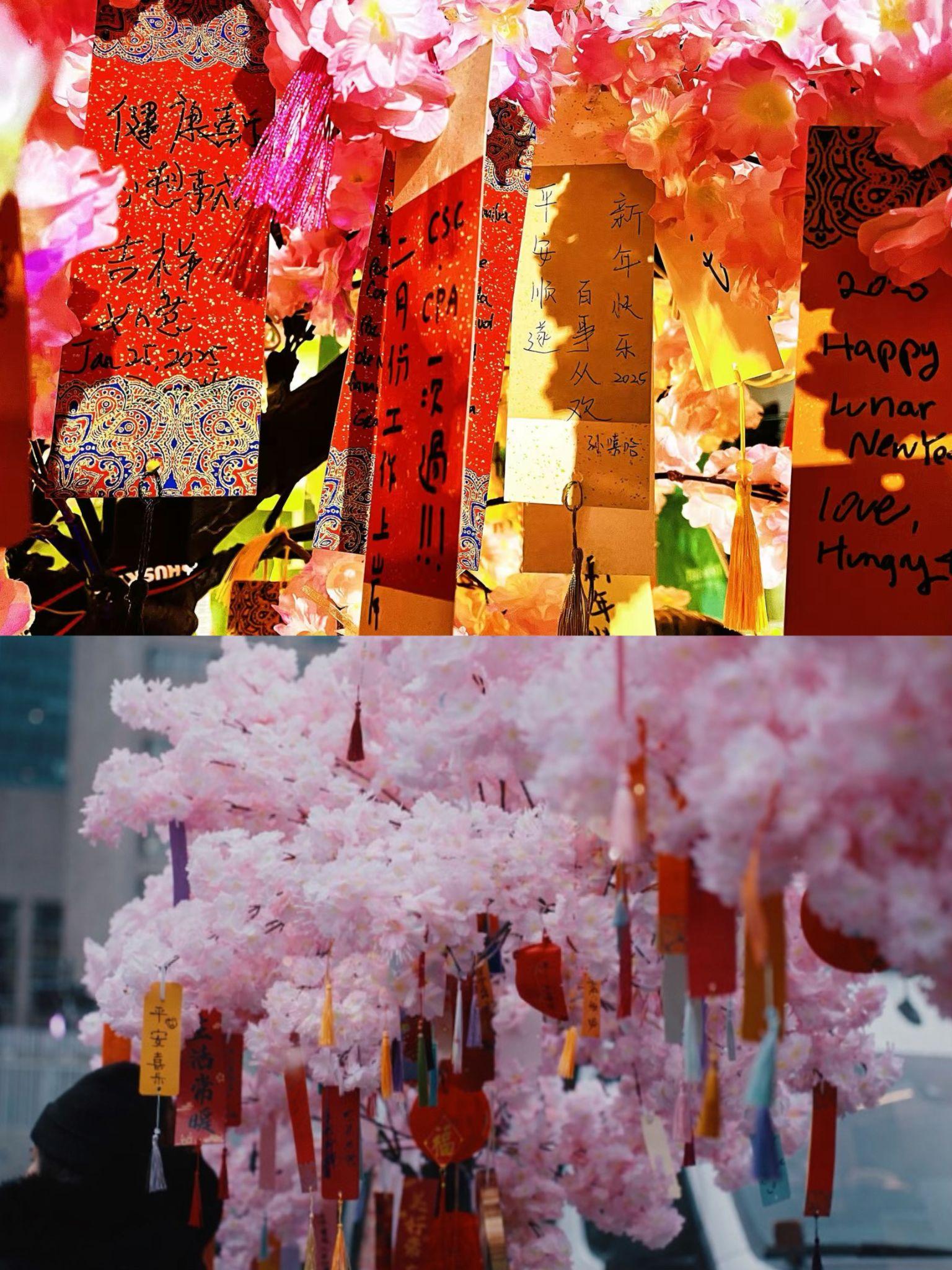 ���׶ࡰ��ζ�컨�塱�ع飡2026�����̻�����𺳿�����