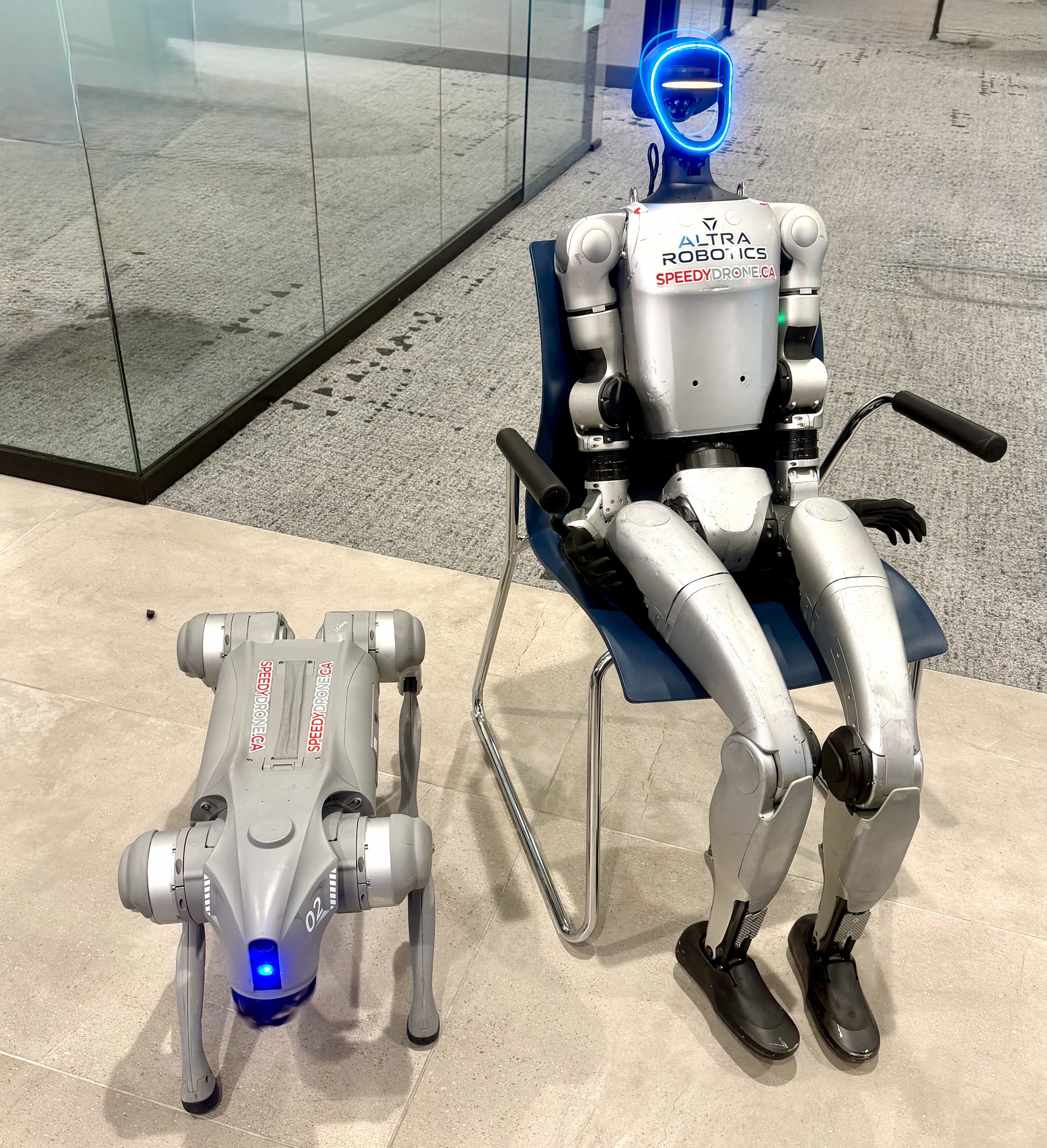 ���׶ഺ���̻����2��14-15���𺳿��� ����ζ�컨�塱�ع飡