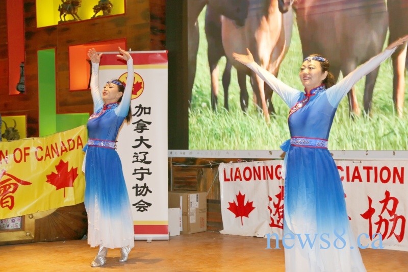 ��������Ũ����������㡪2026����ô�����ͬ�紺��������Բ����