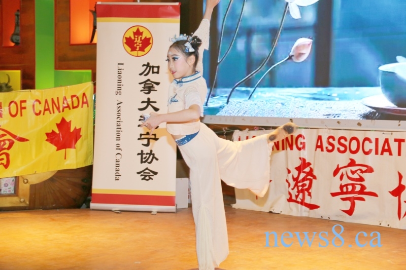 ��������Ũ����������㡪2026����ô�����ͬ�紺��������Բ����