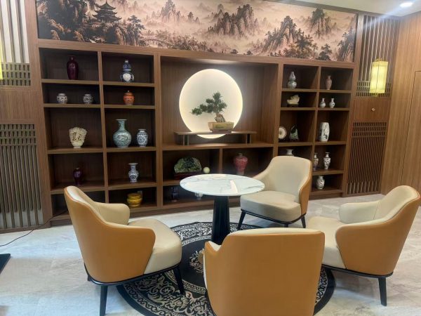 95 Developments 开发的尊悦府两大高端退休社区正式开盘!两大项